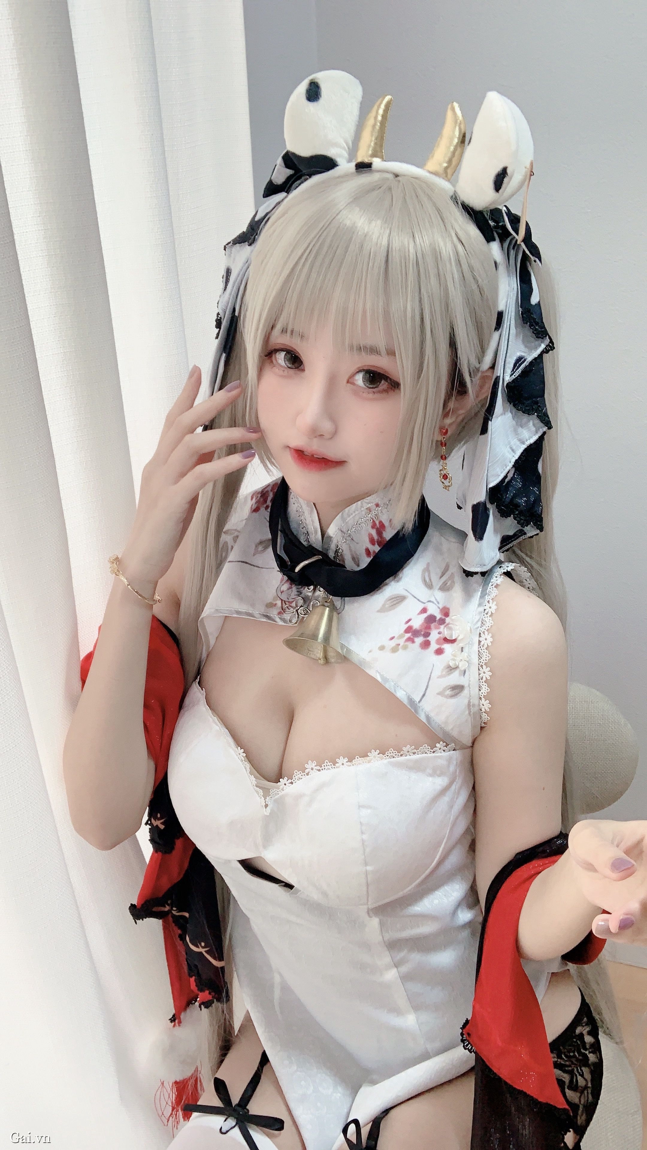 骚虎视频在线观看讲解
