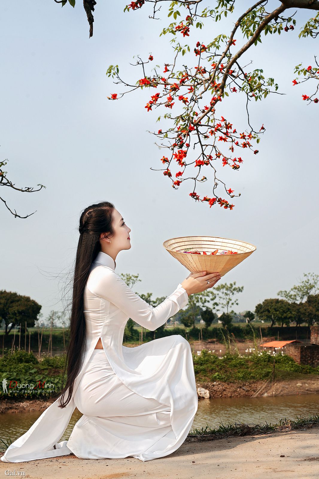 丰年经继拇讲解